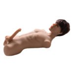 Torso Man Sex Doll - Roy