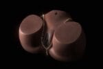 Butt Female Torso Ass - RS6-3 - Image 9