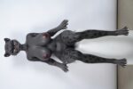 165cm Black Leopard Girl Furry Sex Doll - Velara2 - Image 36
